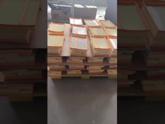 Professionelle Fahrzeugluftfilter für einen optimalen Luftstrom und eine optimale Filterwirksamkeit